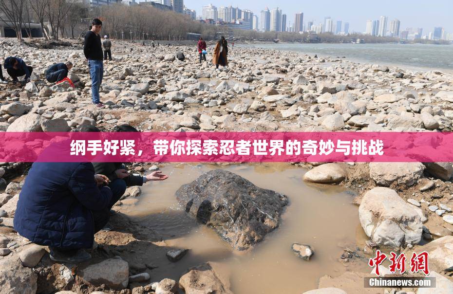 纲手好紧，带你探索忍者世界的奇妙与挑战