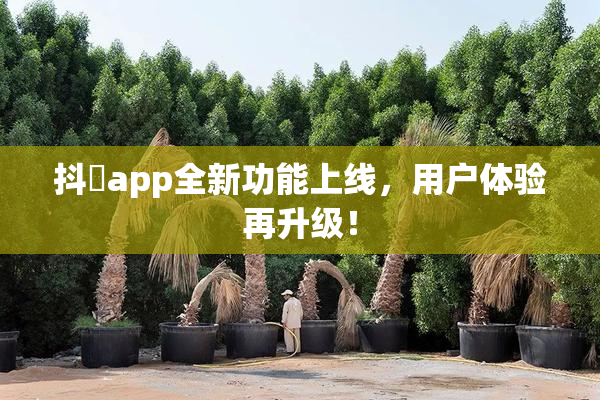 抖抈app全新功能上线，用户体验再升级！