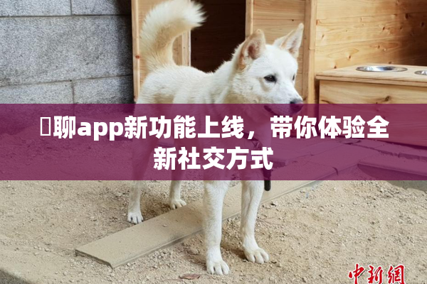 躶聊app新功能上线，带你体验全新社交方式