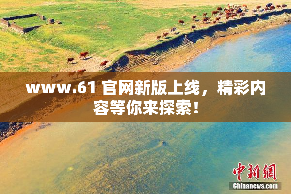 www.61 官网新版上线，精彩内容等你来探索！