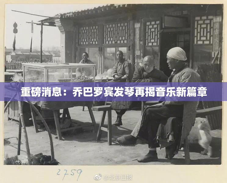 重磅消息：乔巴罗宾发琴再揭音乐新篇章
