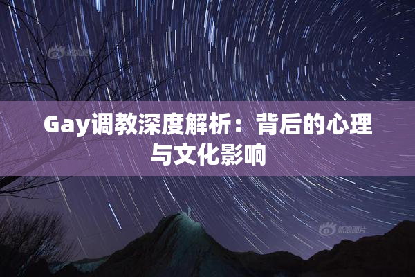 Gay调教深度解析：背后的心理与文化影响