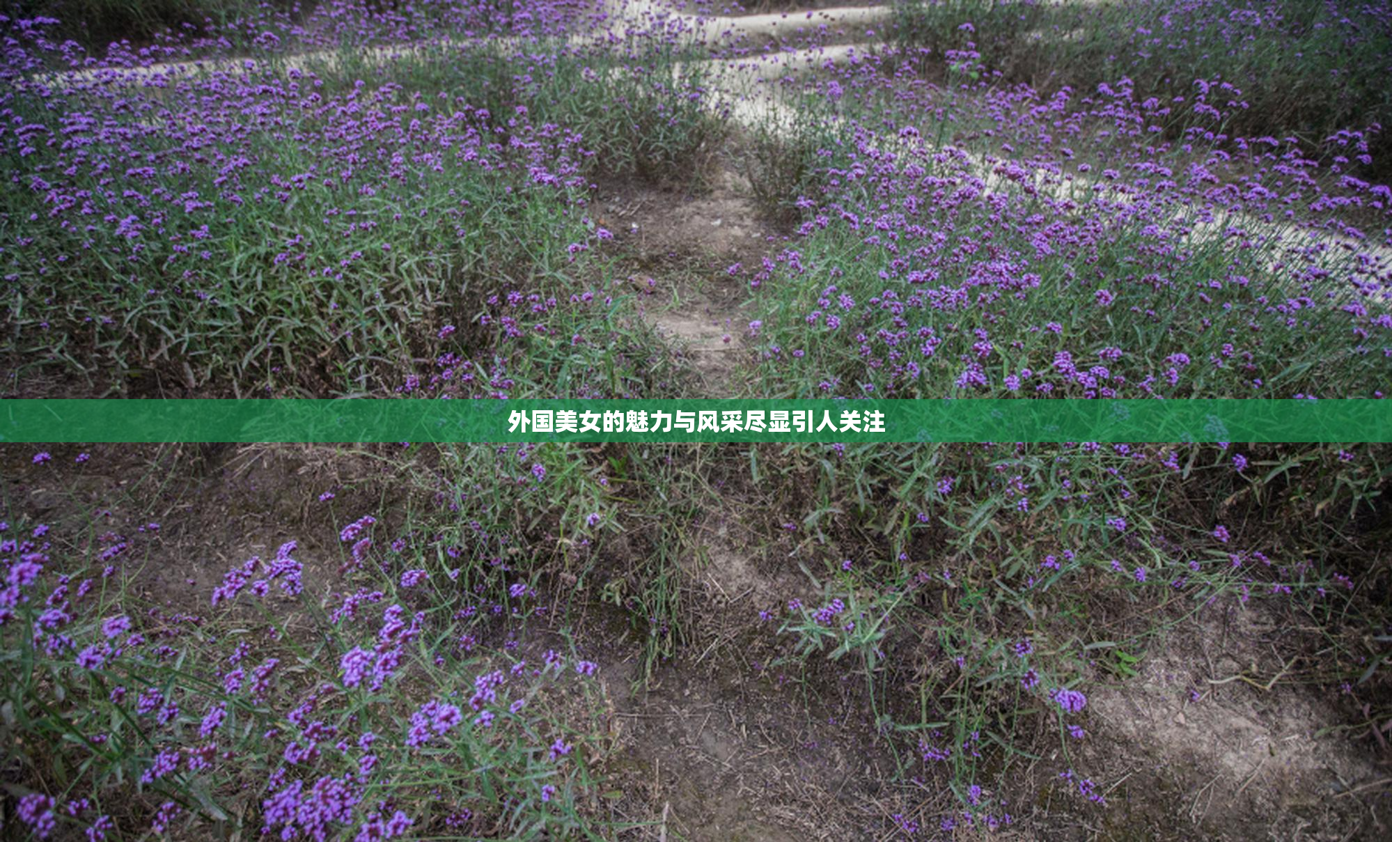 外国美女的魅力与风采尽显引人关注