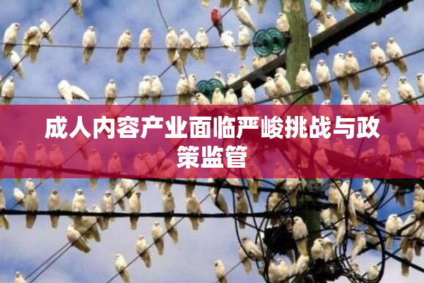 成人内容产业面临严峻挑战与政策监管