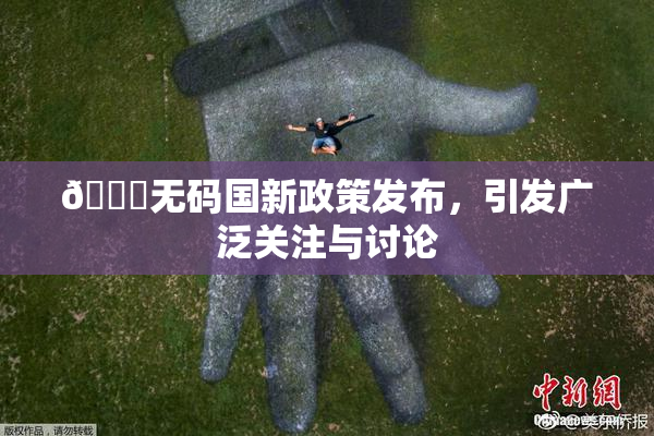 🔞无码国新政策发布，引发广泛关注与讨论