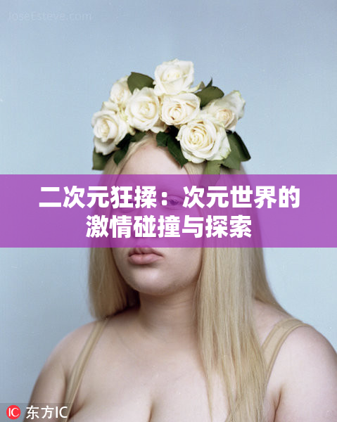 二次元狂揉：次元世界的激情碰撞与探索