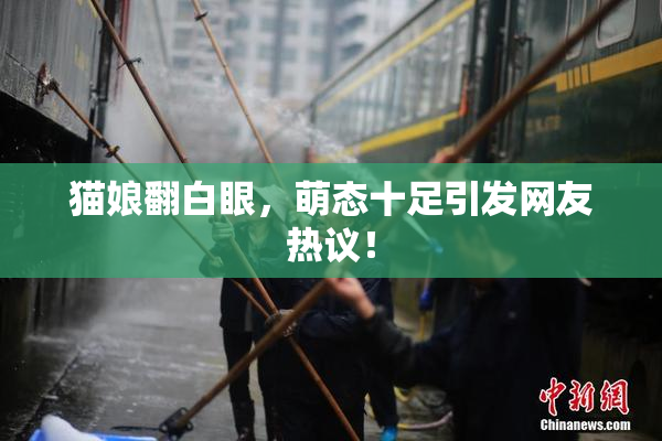 猫娘翻白眼，萌态十足引发网友热议！