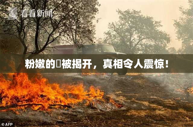 粉嫩的泬被揭开，真相令人震惊！