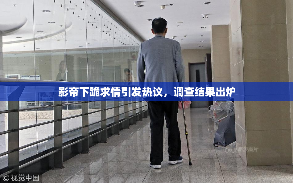 影帝下跪求情引发热议，调查结果出炉