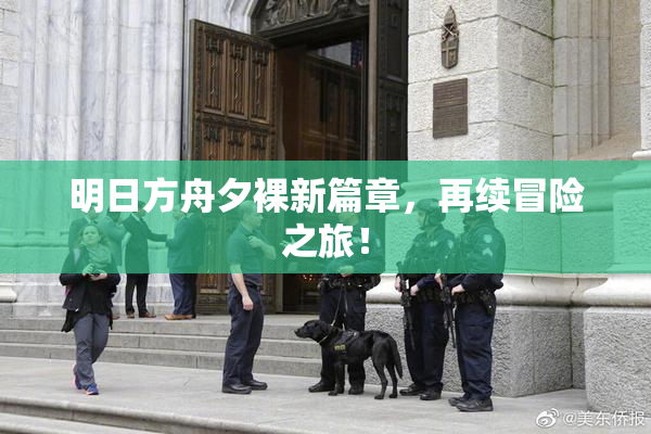 明日方舟夕裸新篇章，再续冒险之旅！