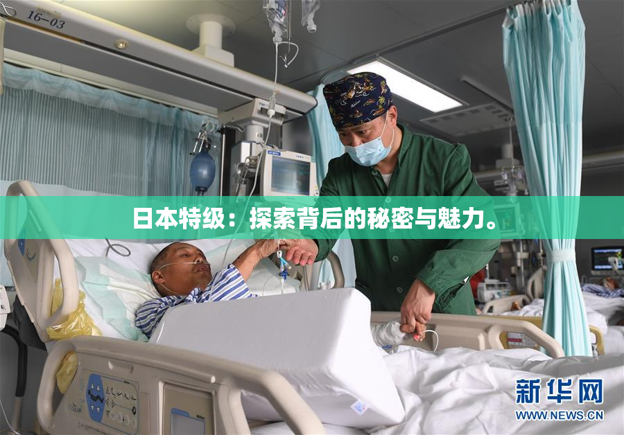 日本特级：探索背后的秘密与魅力。