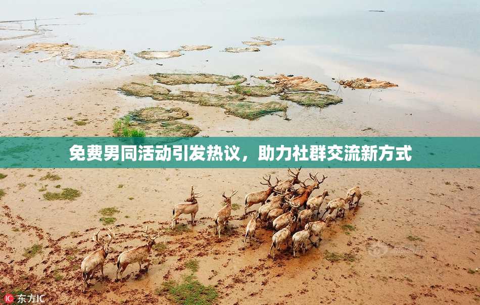 免费男同活动引发热议，助力社群交流新方式
