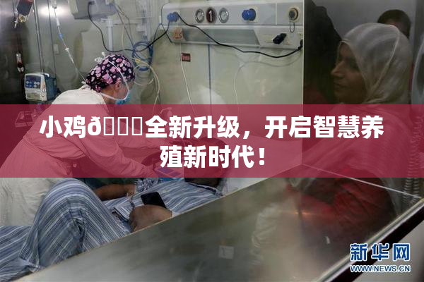 小鸡🐔全新升级，开启智慧养殖新时代！