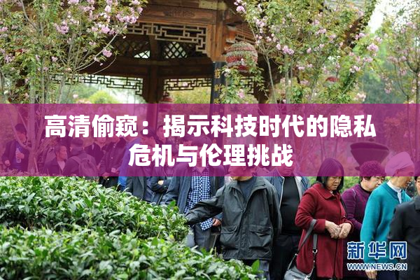 高清偷窥：揭示科技时代的隐私危机与伦理挑战