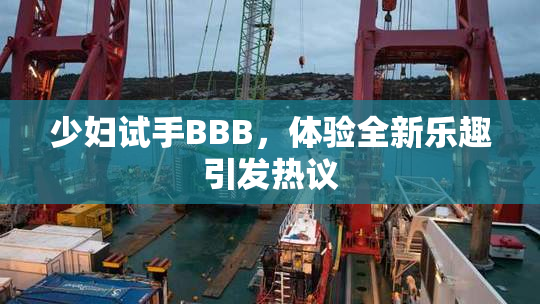 少妇试手BBB，体验全新乐趣引发热议