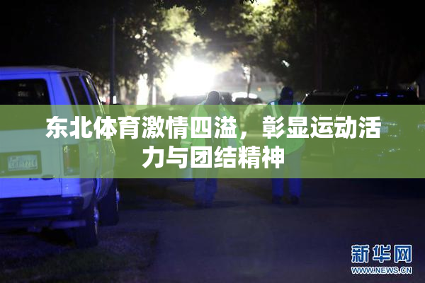 东北体育激情四溢，彰显运动活力与团结精神