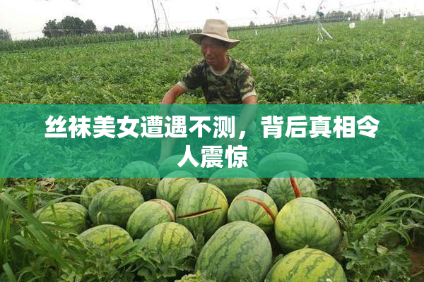 丝袜美女遭遇不测，背后真相令人震惊