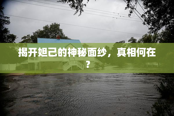 揭开妲己的神秘面纱，真相何在？