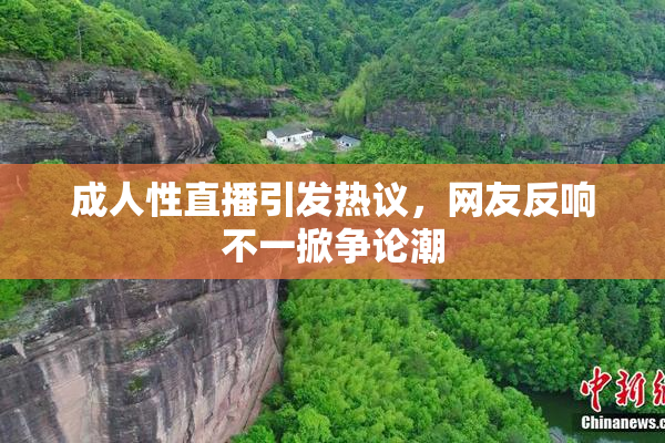 成人性直播引发热议，网友反响不一掀争论潮