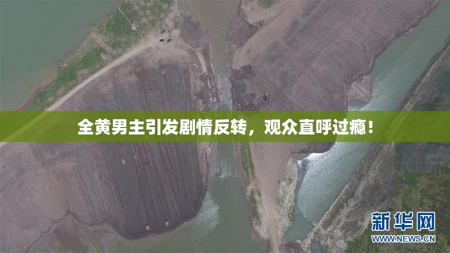 全黄男主引发剧情反转，观众直呼过瘾！