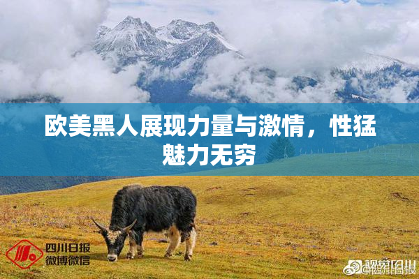 欧美黑人展现力量与激情，性猛魅力无穷
