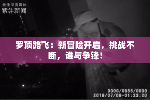罗顶路飞：新冒险开启，挑战不断，谁与争锋！