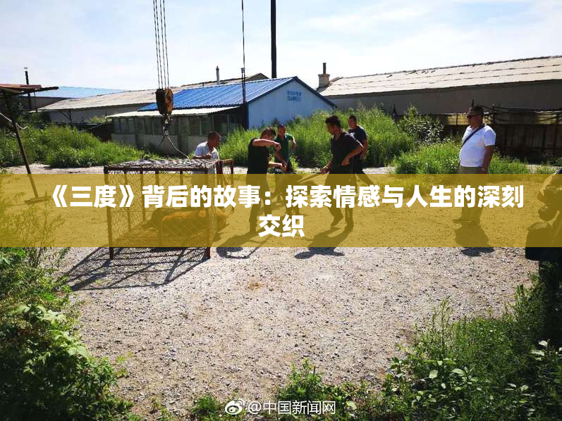 《三度》背后的故事：探索情感与人生的深刻交织
