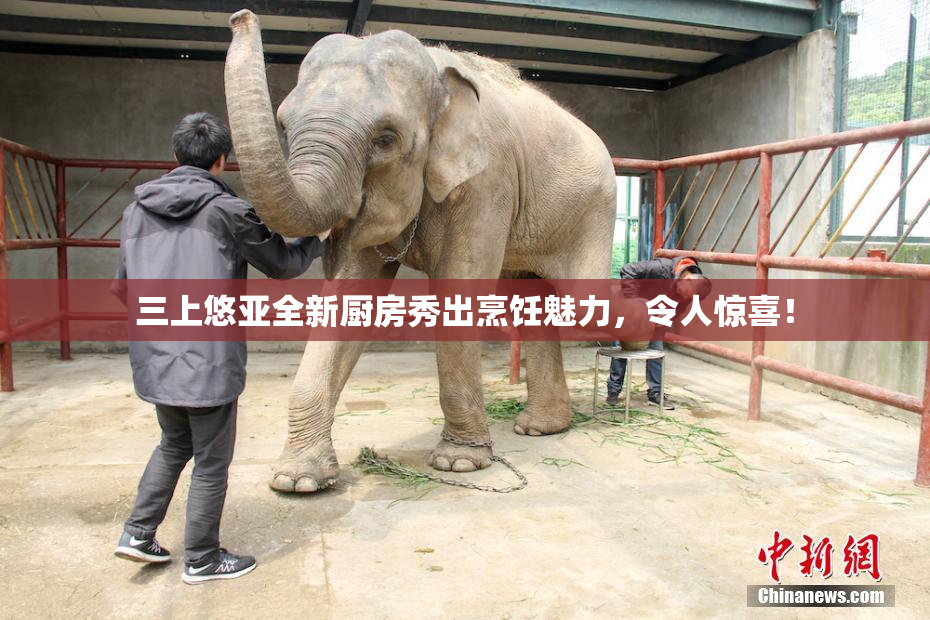 三上悠亚全新厨房秀出烹饪魅力，令人惊喜！
