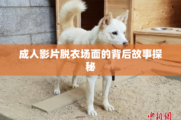 成人影片脱衣场面的背后故事探秘