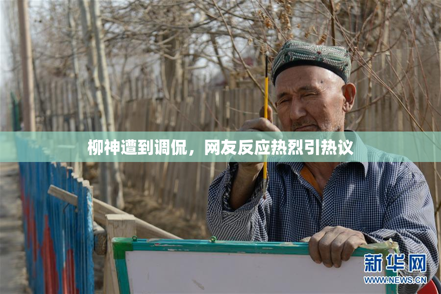 柳神遭到调侃，网友反应热烈引热议