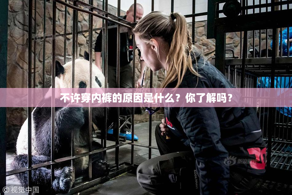 不许穿内裤的原因是什么？你了解吗？
