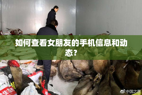 如何查看女朋友的手机信息和动态？