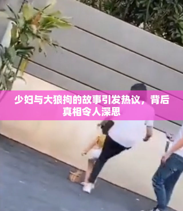 少妇与大狼拘的故事引发热议，背后真相令人深思