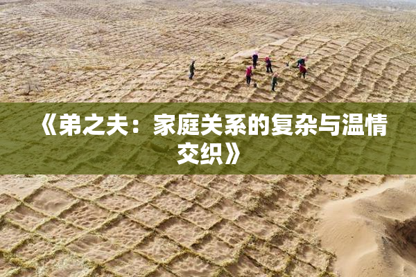 《弟之夫：家庭关系的复杂与温情交织》