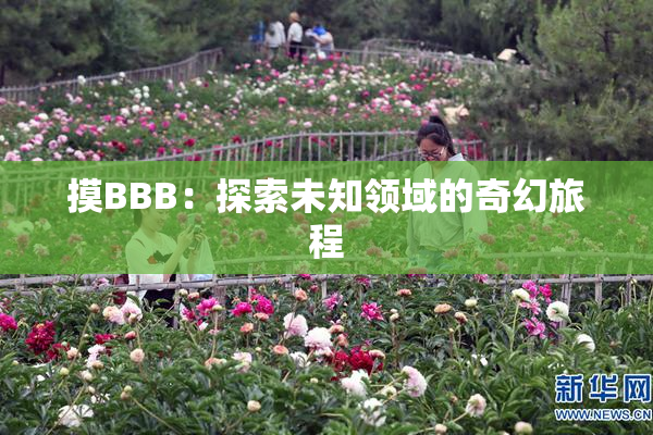 摸BBB：探索未知领域的奇幻旅程