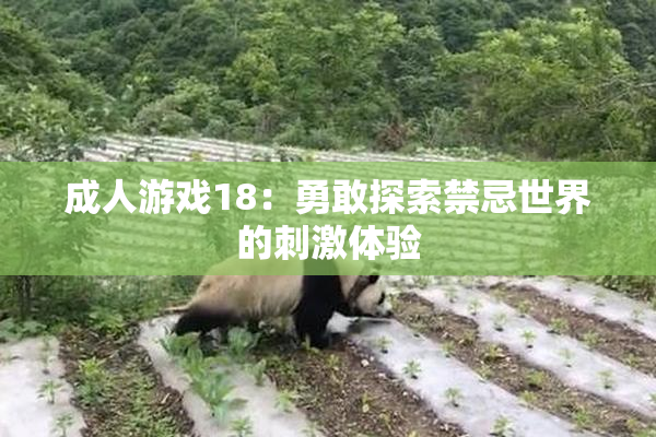 成人游戏18：勇敢探索禁忌世界的刺激体验