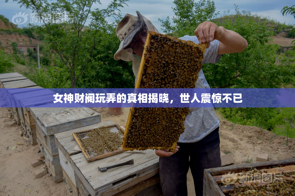女神财阀玩弄的真相揭晓，世人震惊不已