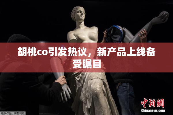 胡桃co引发热议，新产品上线备受瞩目