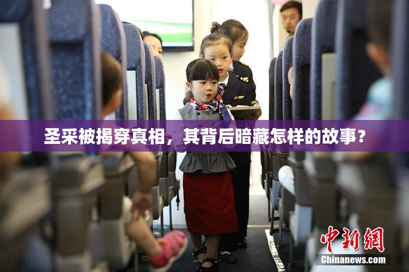 圣采被揭穿真相，其背后暗藏怎样的故事？