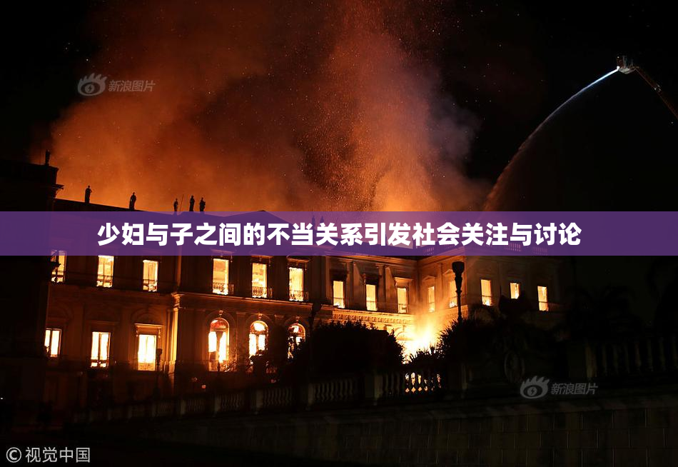 少妇与子之间的不当关系引发社会关注与讨论