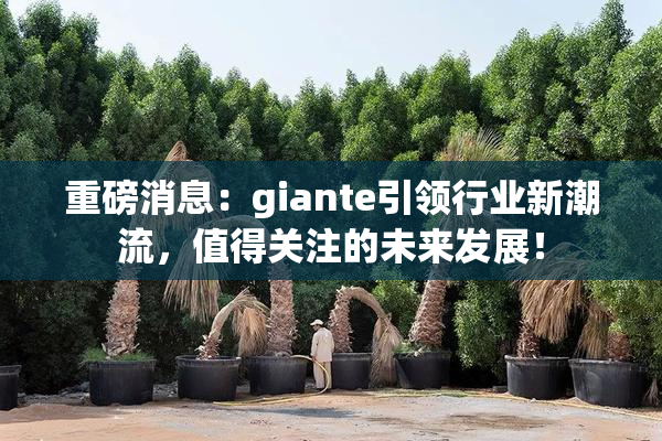 重磅消息：giante引领行业新潮流，值得关注的未来发展！