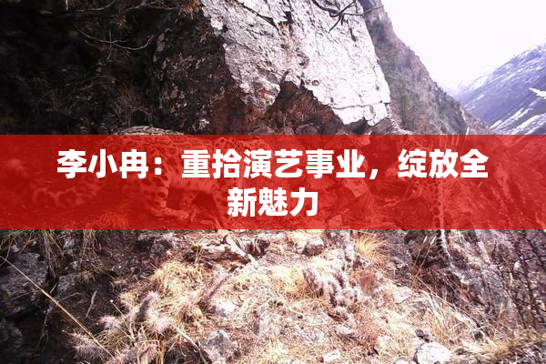 李小冉：重拾演艺事业，绽放全新魅力