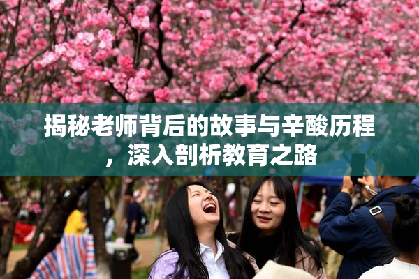 揭秘老师背后的故事与辛酸历程，深入剖析教育之路