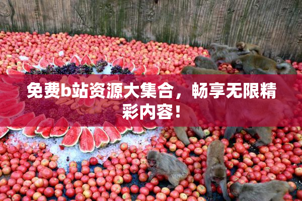 免费b站资源大集合，畅享无限精彩内容！