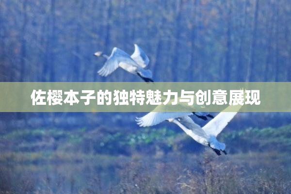 佐樱本子的独特魅力与创意展现