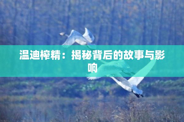 温迪榨精：揭秘背后的故事与影响