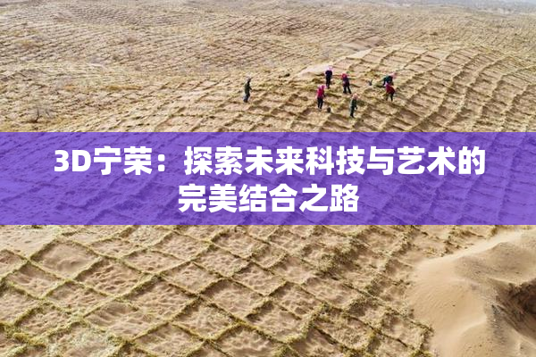 3D宁荣：探索未来科技与艺术的完美结合之路