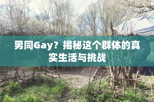 男同Gay？揭秘这个群体的真实生活与挑战
