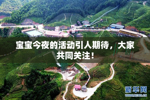 宝宝今夜的活动引人期待，大家共同关注！