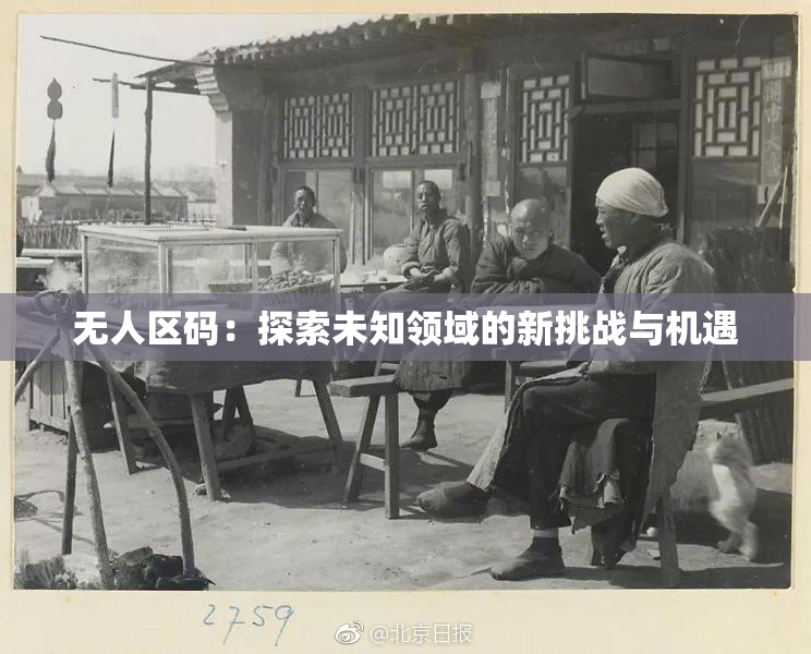 无人区码：探索未知领域的新挑战与机遇